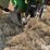 2006-john-deere-1770nt-image-11