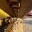 2018-caterpillar-299d2-xhp-image-14