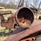 allis-chalmers-uc-image-36