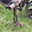 rumely-doall-image-20