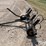 tire-track-tiller-image-8