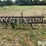 john-deere-3-pt-3-bar-spring-tooth-image-2