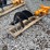 caterpillar-305-image-2