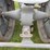 fordson-roller-image-32