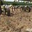 john-deere-1650-image-14