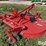 bush-hog-2010r-rotary-shredder-image-5