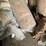 rolled-insulation-image-13