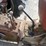massey-ferguson-135-image-8