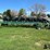 2018-sitrex-magnum-16-wheel-hay-rake-image-3
