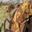 huber-road-roller-image-30