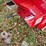 #287-•-80th-anniversary-state-farm-pedal-car-by-pedal-car-classics,-llc-image-14