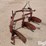 ford-10-3-bottom-plow-image-6