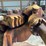 fordson-roller-image-22