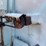 cenex-spreader-image-35