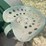 huber-image-36