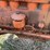allis-chalmers-u-image-45
