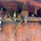 allis-chalmers-k35-crawler-image-40
