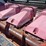 case-ih-1083-image-7