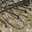 john-deere-field-cultivator-image-13