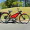 collector-motor-series-auction-image-4