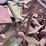 allis-chalmers-wc-image-22
