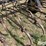 john-deere-field-cultivator-image-14