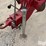 2004-case-ih-1200-image-10