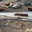 bulk-feed-tank-hopper-sheet-image-8