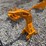 caterpillar-305-image-3