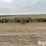 john-deere-1600-image-2