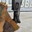 2007-volvo-bl70-image-42