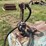 1957-american-steel-transfer-fuel-tank-image-9