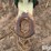 flex-king-xl-5-x-7-blade-plow-image-9