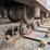 caterpillar-308-cr-image-22