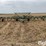 john-deere-1650-image-2