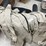 fr-coveralls-image-9