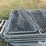 dog-kennel-image-9