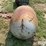 1957-anco-propane-tank-image-6