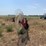 tonutti-t9-image-8
