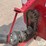 westfield-mk-130-91-plus-swing-away-auger-image-13