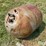 1957-anco-propane-tank-image-1