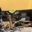 harlo-lift-master-2-62–g-forklift-image-46