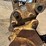 caterpillar-313b-image-13
