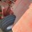 hesston-5156-image-29