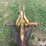 3-pt-blade-image-18