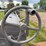 fordson-roller-image-27
