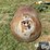 1957-anco-propane-tank-image-2