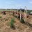 tonutti-t9-image-9