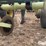 flex-king-xl-5-x-7-blade-plow-image-14
