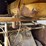 huber-road-roller-image-21